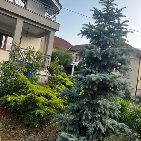 Villa Rus House Cluj-Napoca